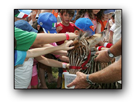 Toronto Petting Zoo