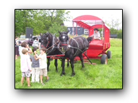 Toronto Petting Zoo Drawn Wagon Rides five