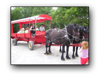 Toronto Petting Zoo Drawn Wagon Rides four