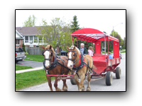 Toronto Petting Zoo Drawn Wagon Rides three