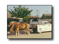 Toronto Petting Zoo