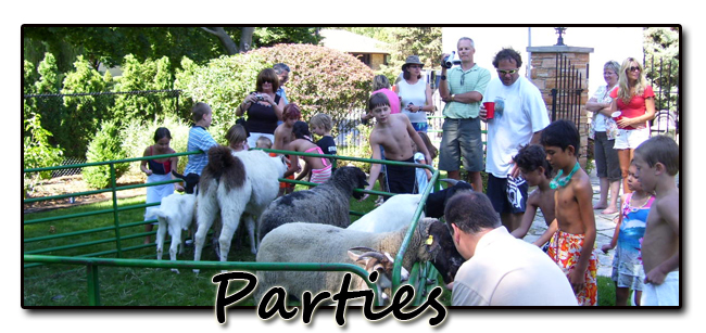 Toronto Petting Zoo