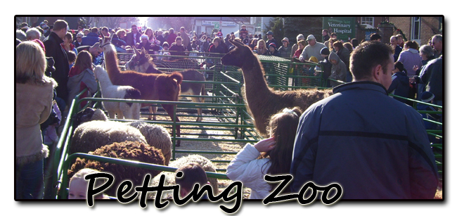 Toronto Petting Zoo