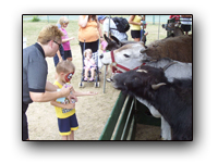 Toronto Petting Zoo