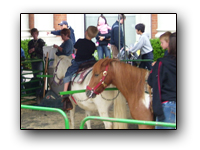 Toronto Petting Zoo